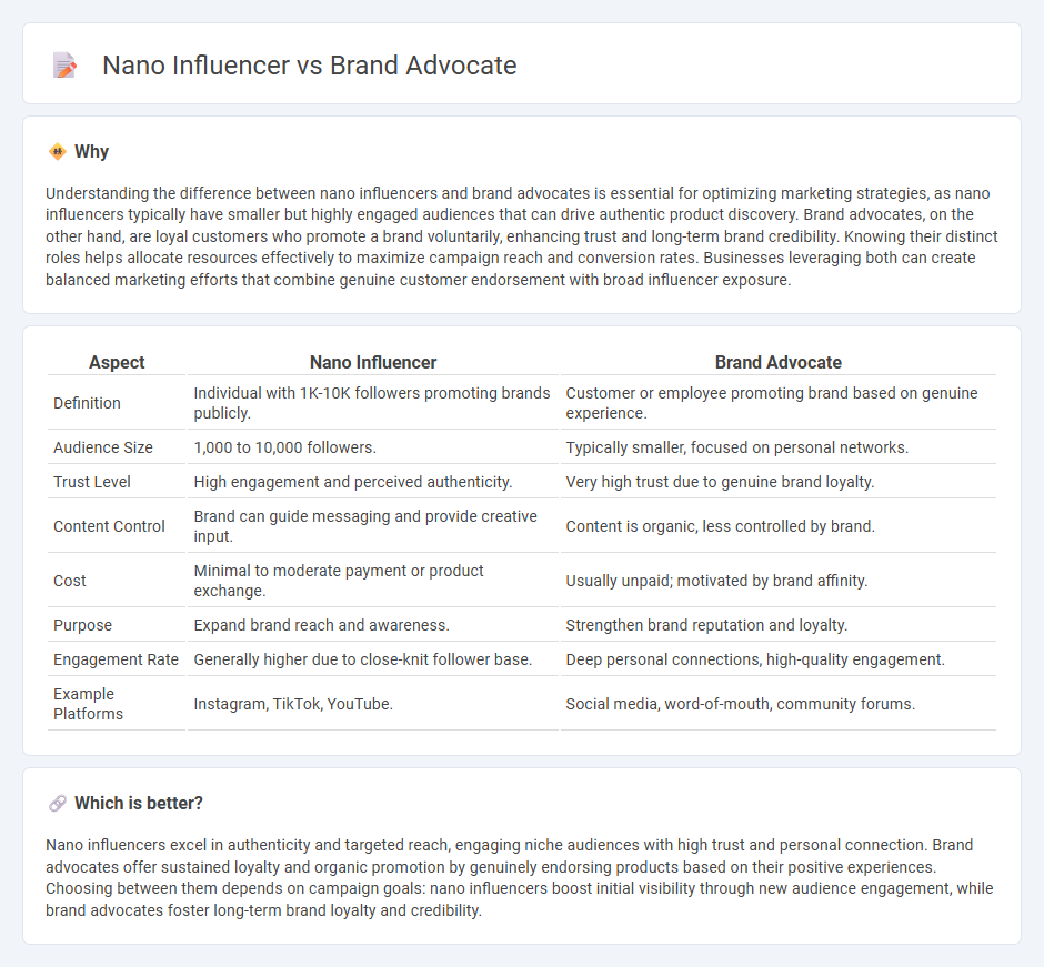 Nano Influencer vs Brand Advocate in Marketing