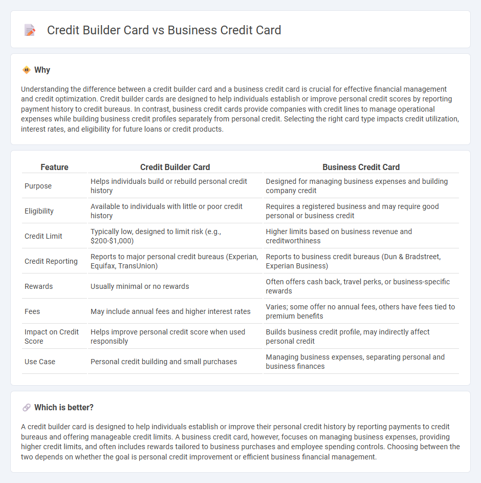 Credit Builder Card vs Business Credit Card in Banking