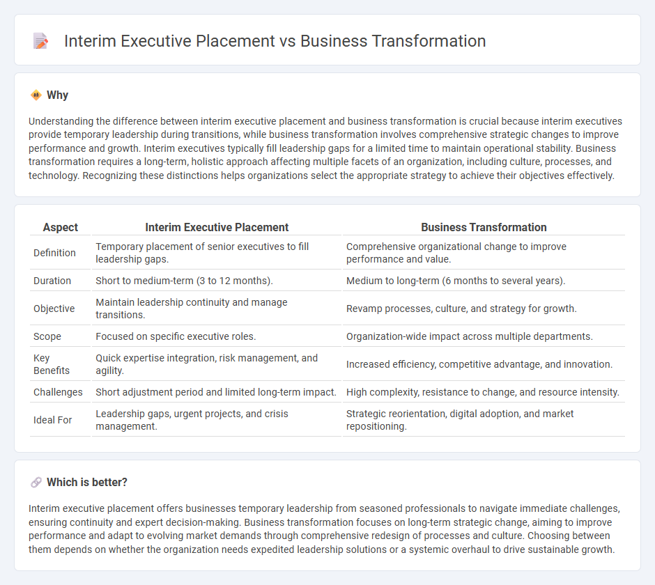 Interim Executive Placement vs Business Transformation in Consulting