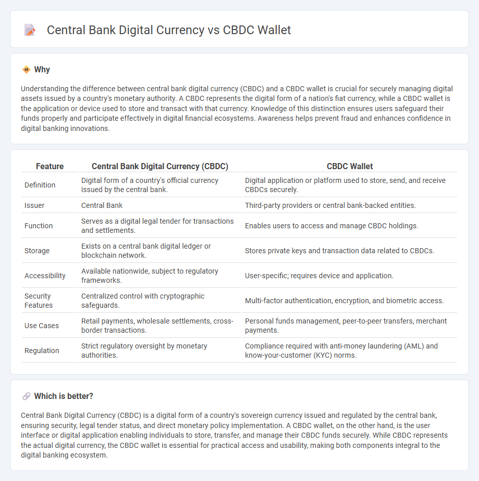 Central Bank Digital Currency vs Cbdc Wallet in Banking