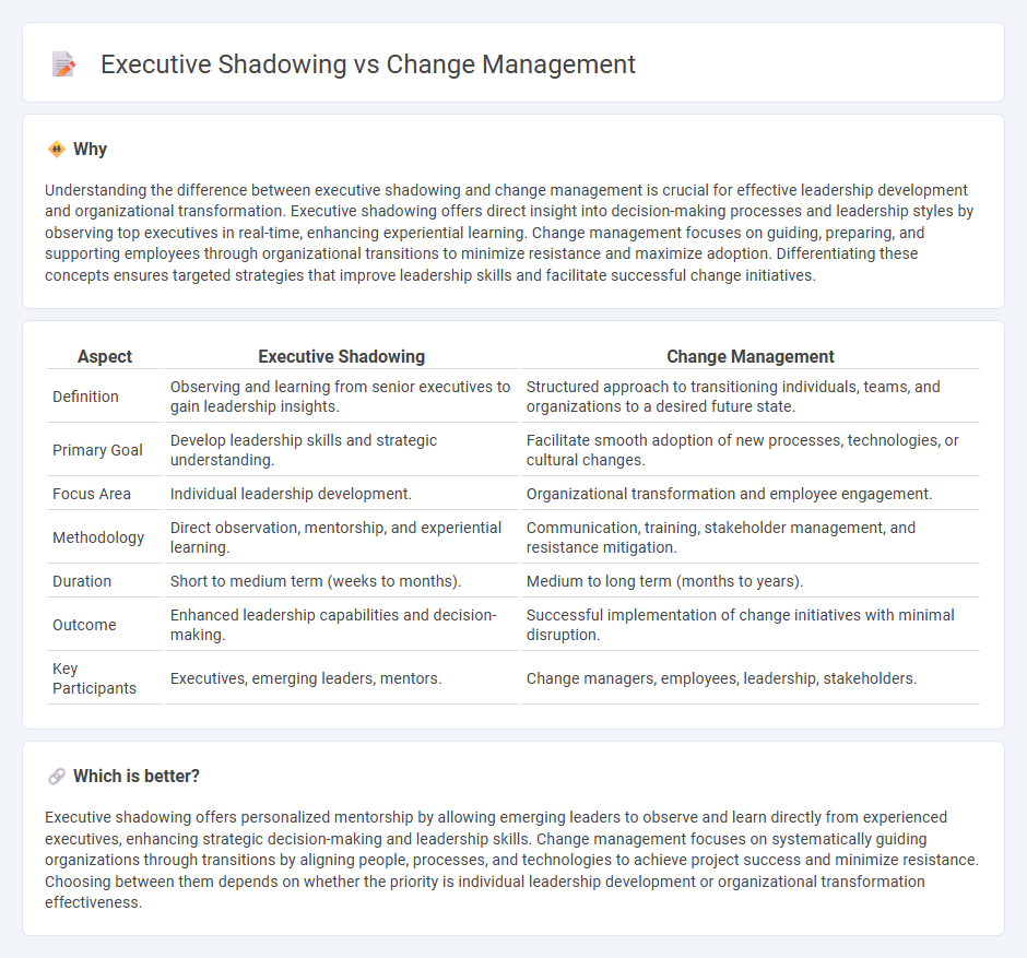 Executive Shadowing vs Change Management in Consulting