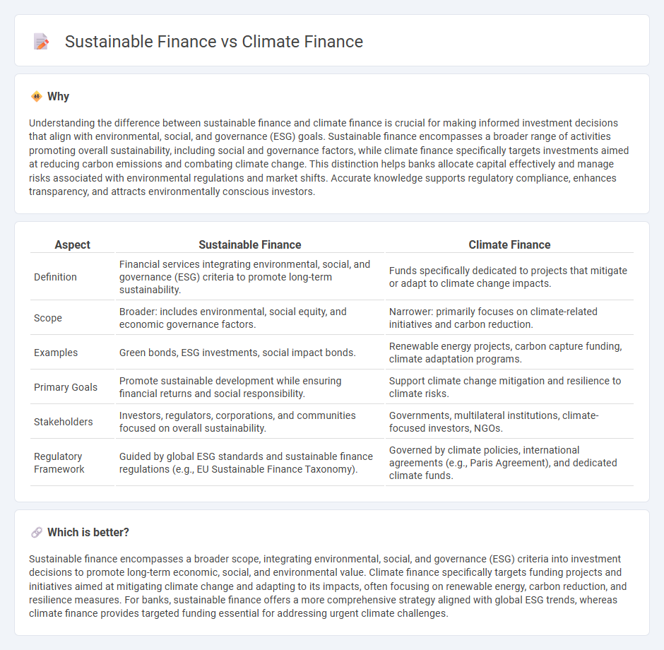 Sustainable Finance vs Climate Finance in Banking
