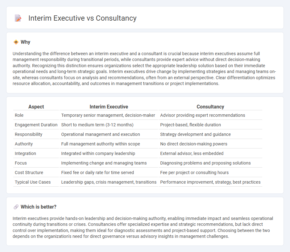 Interim Executive vs Consultancy in Management
