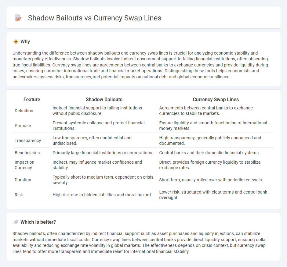 Shadow Bailouts vs Currency Swap Lines in Economy