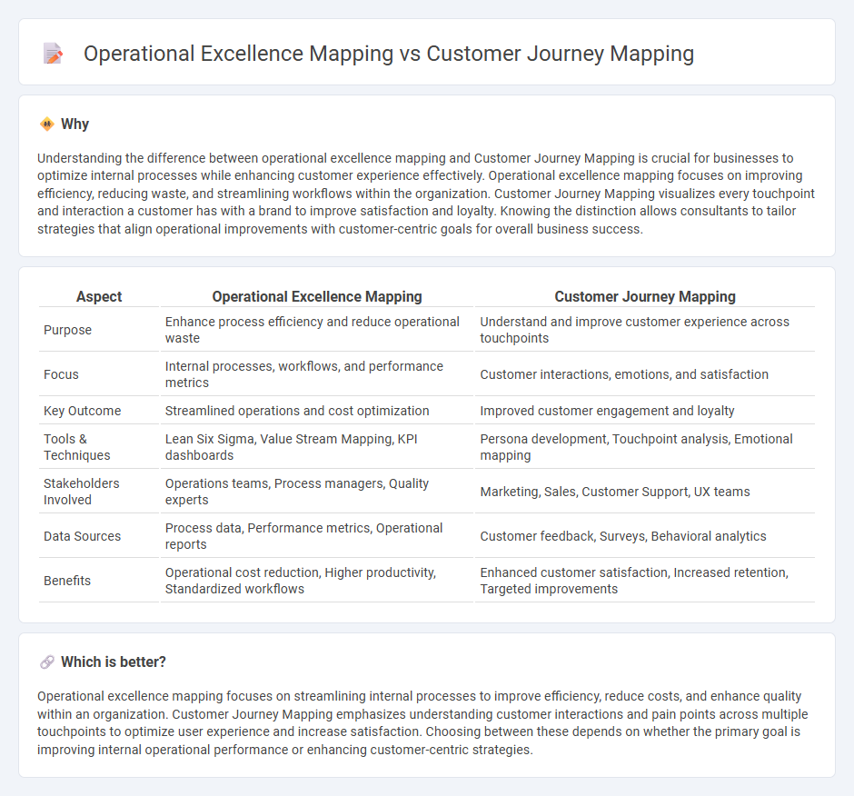 Operational Excellence Mapping vs Customer Journey Mapping in Consulting
