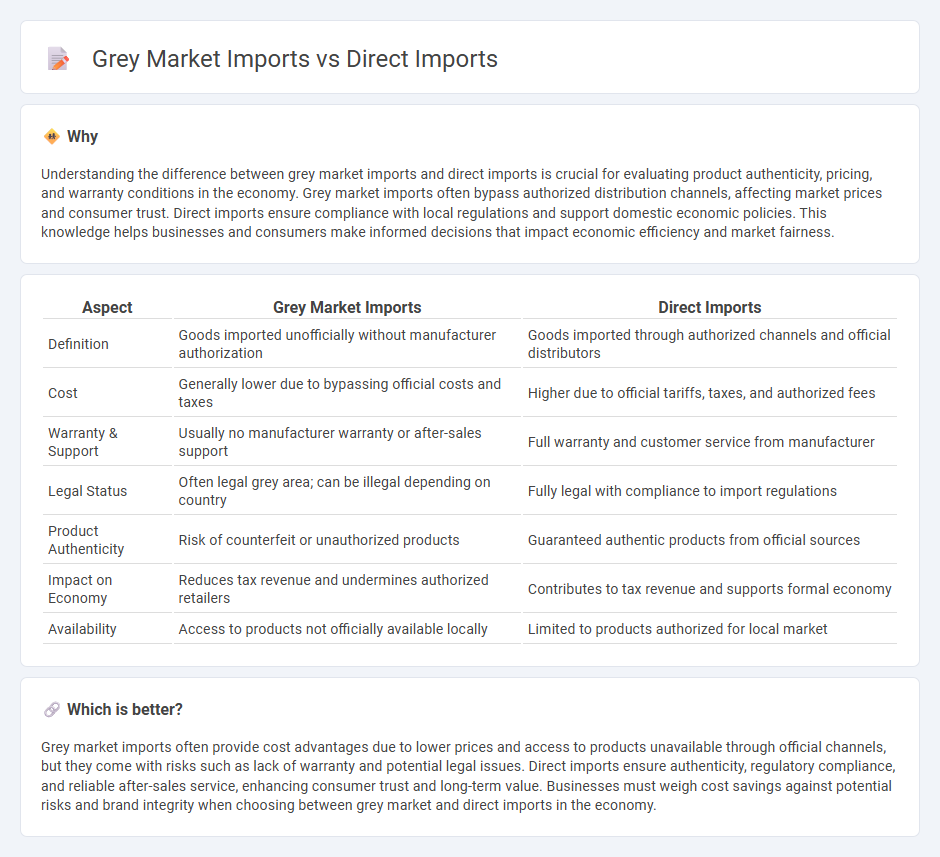 Grey Market Imports vs Direct Imports in Economy