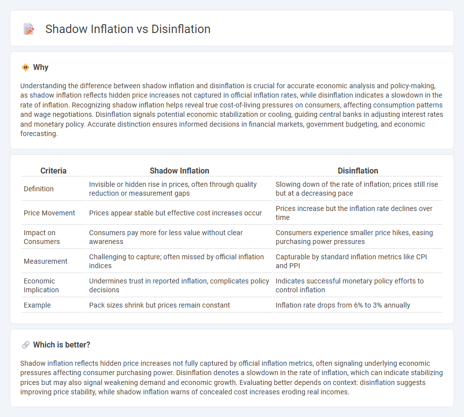 Shadow Inflation vs Disinflation in Economy