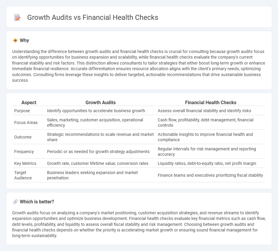 Growth Audits vs Financial Health Checks in Consulting