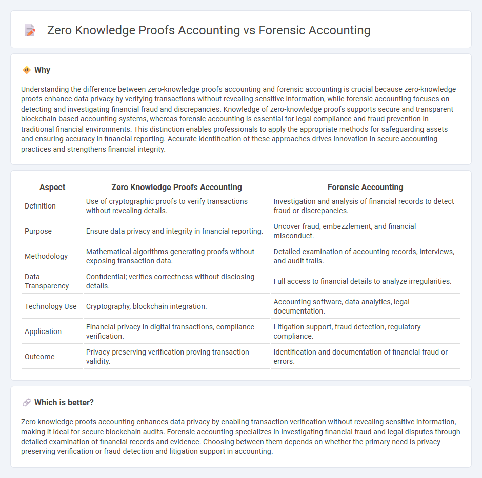 Zero Knowledge Proofs Accounting vs Forensic Accounting in Accounting