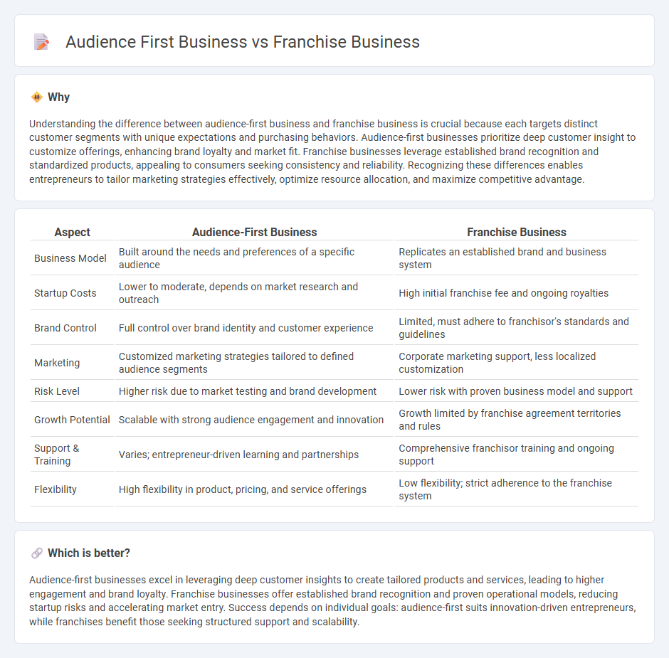 Audience First Business vs Franchise Business in Entrepreneurship