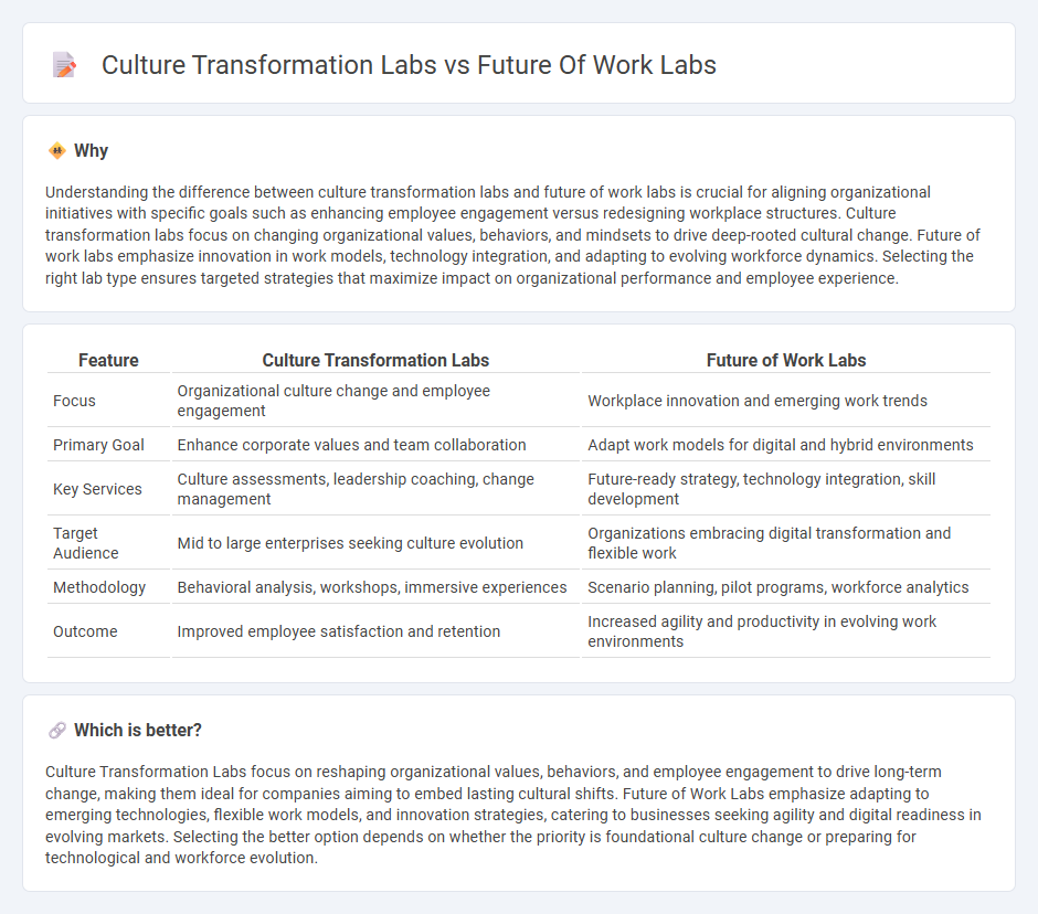 Culture Transformation Labs vs Future Of Work Labs in Consulting