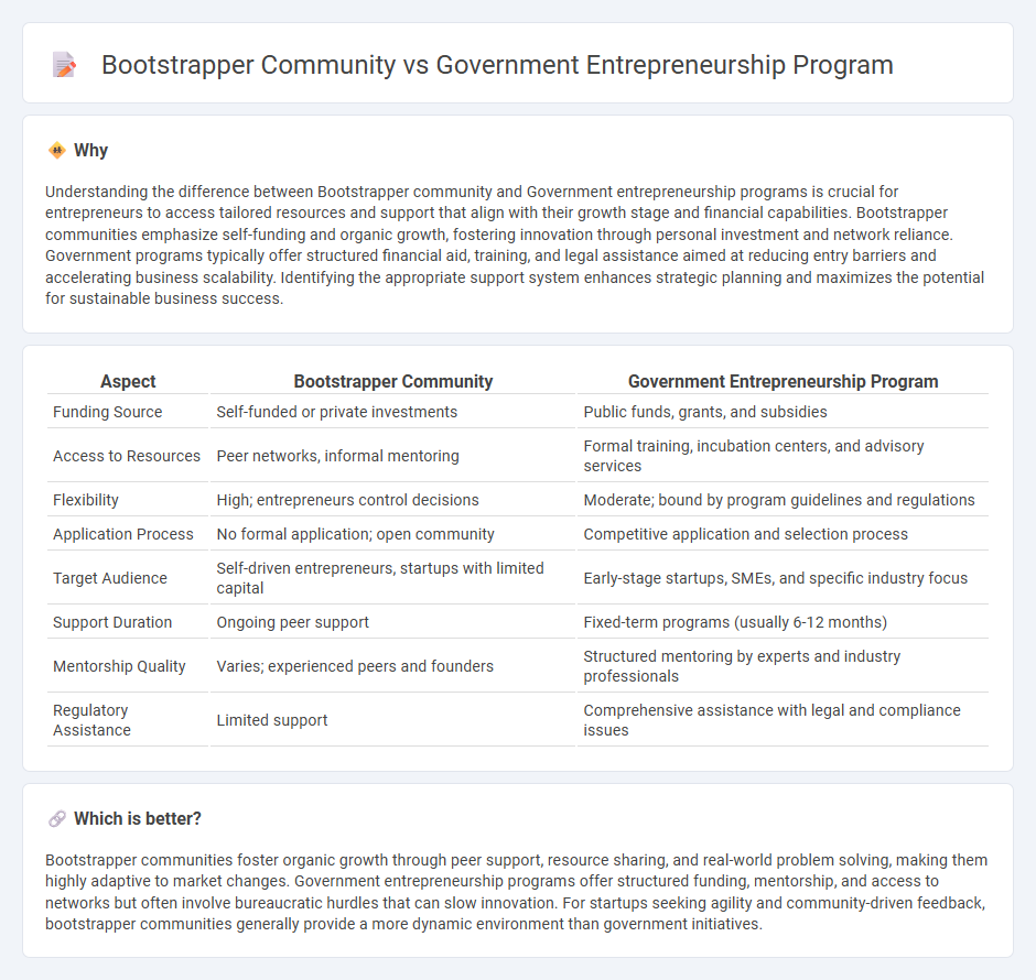 Bootstrapper Community vs Government Entrepreneurship Program in Entrepreneurship
