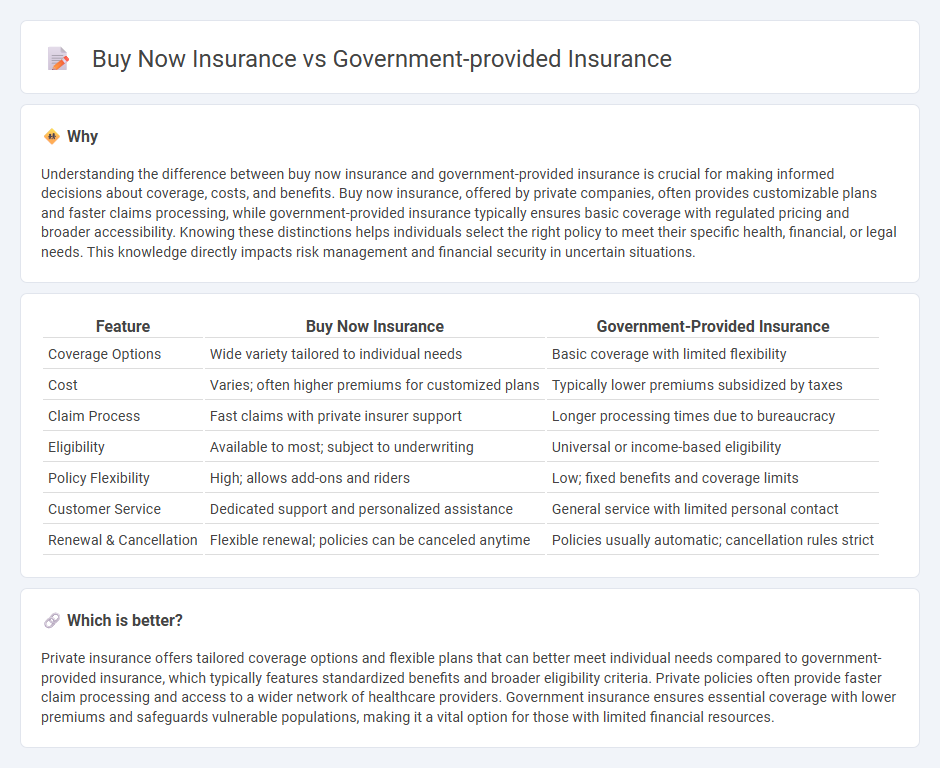 Buy Now Insurance vs Government-Provided Insurance in Insurance