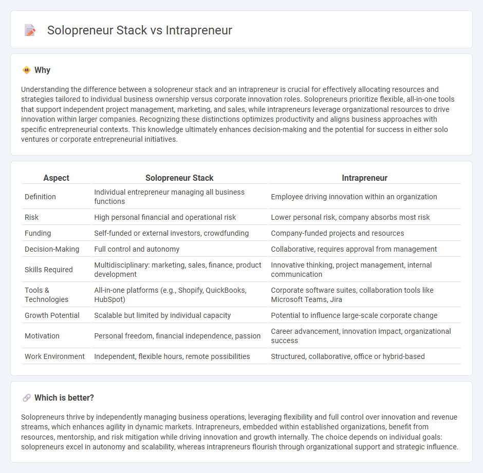 Solopreneur Stack vs Intrapreneur in Entrepreneurship