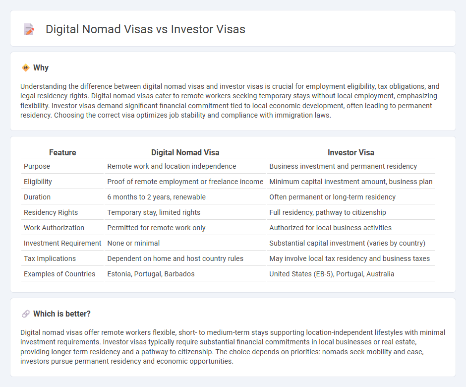 Digital Nomad Visas vs Investor Visas in Employment