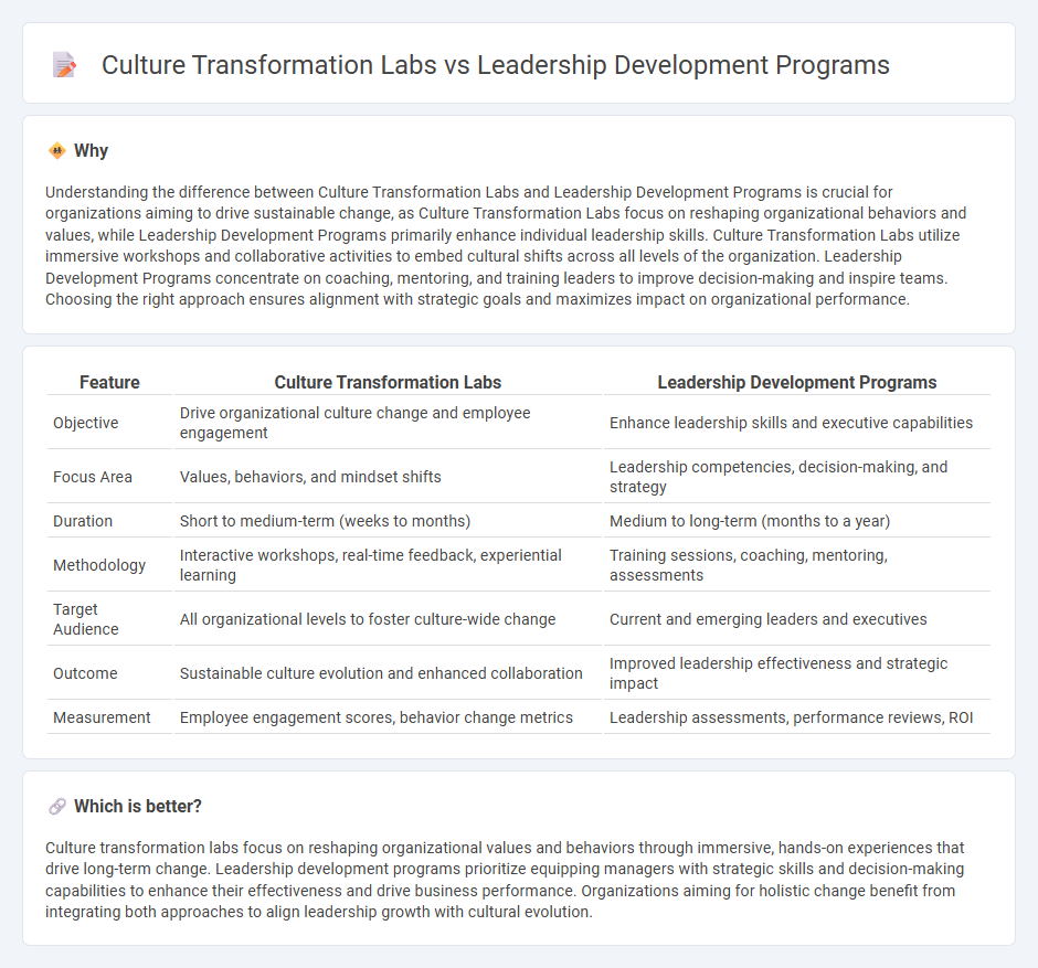 Culture Transformation Labs vs Leadership Development Programs in Consulting