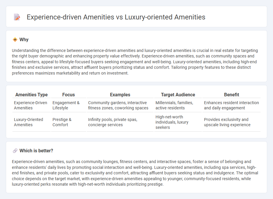 Experience-Driven Amenities vs Luxury-Oriented Amenities in Real Estate
