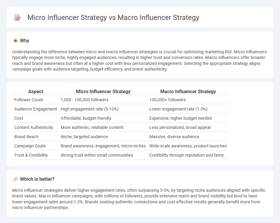 Micro Influencer Strategy vs Macro Influencer Strategy in Marketing