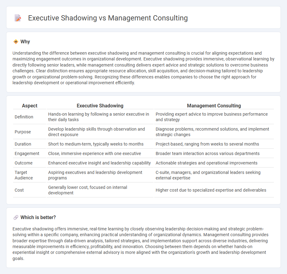 Executive Shadowing vs Management Consulting in Consulting
