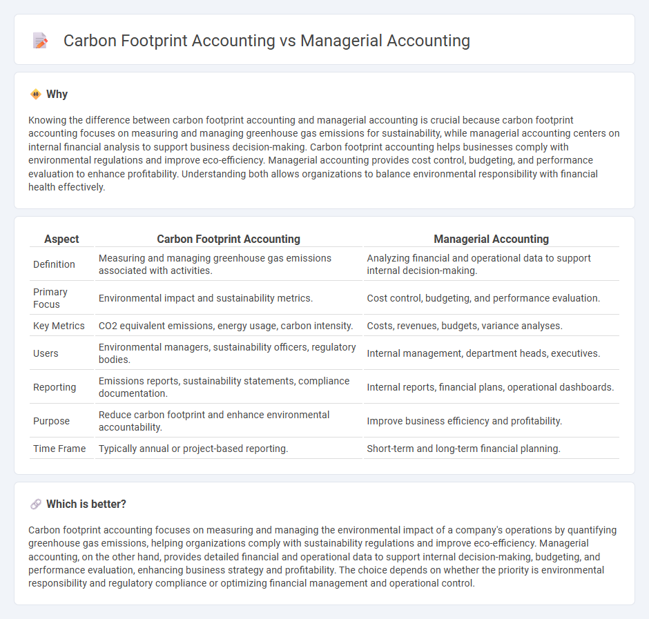 Carbon Footprint Accounting vs Managerial Accounting in Accounting