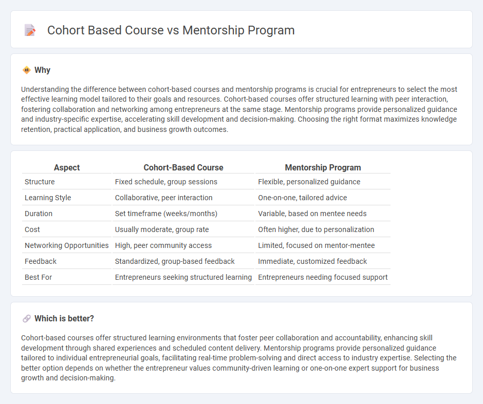 Cohort Based Course vs Mentorship Program in Entrepreneurship