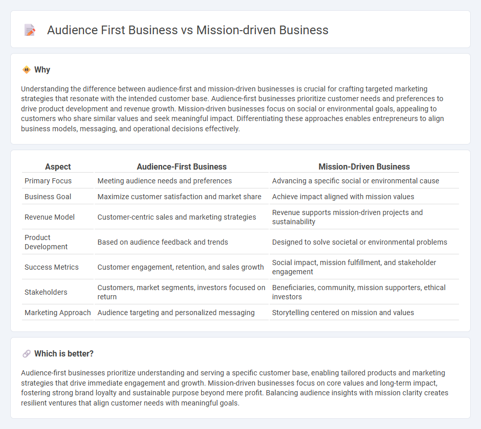 Audience First Business vs Mission-Driven Business in Entrepreneurship