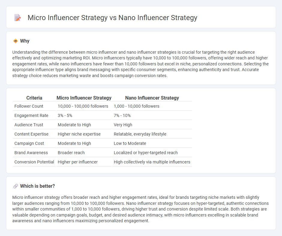 Micro Influencer Strategy vs Nano Influencer Strategy in Marketing