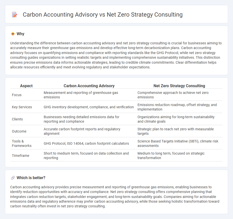 Carbon Accounting Advisory vs Net Zero Strategy Consulting in Consulting