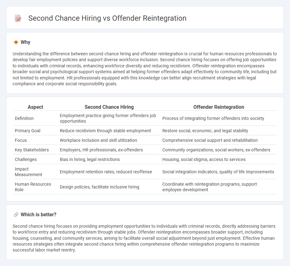 Second Chance Hiring vs Offender Reintegration in Human Resources