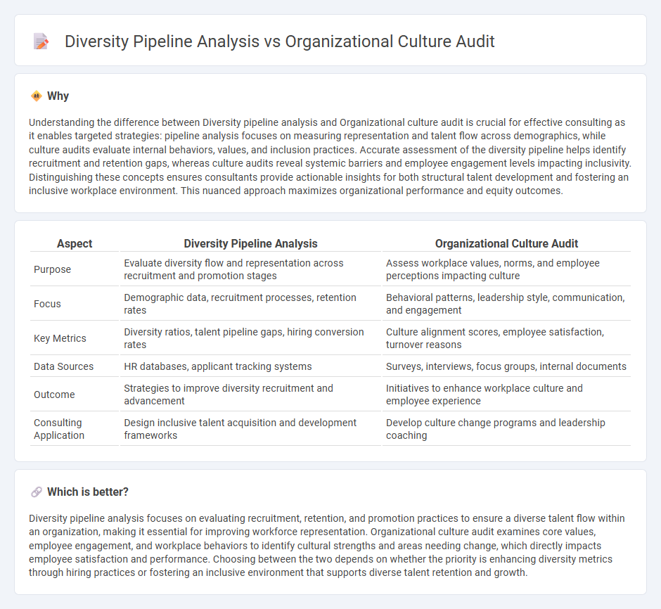 Diversity Pipeline Analysis vs Organizational Culture Audit in Consulting