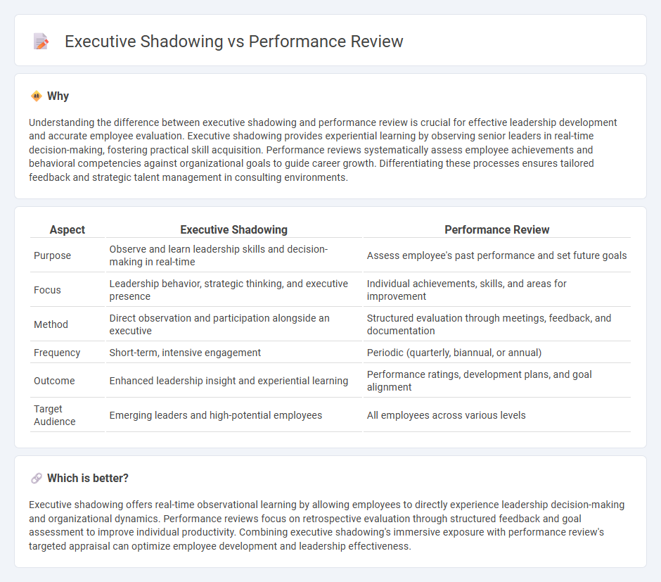 Executive Shadowing vs Performance Review in Consulting