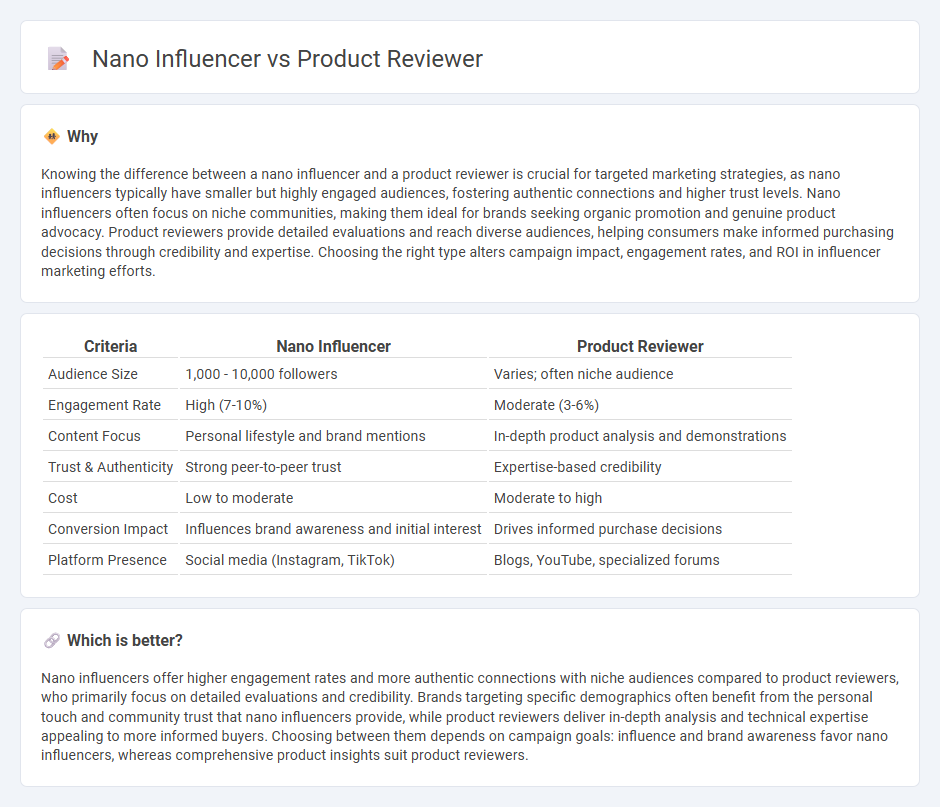 Nano Influencer vs Product Reviewer in Marketing