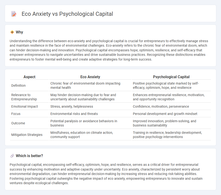 Eco Anxiety vs Psychological Capital in Entrepreneurship