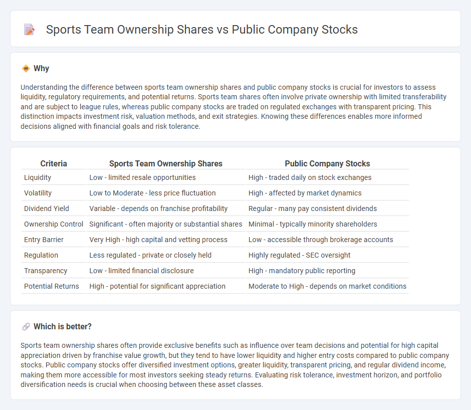 Sports Team Ownership Shares vs Public Company Stocks in Investment