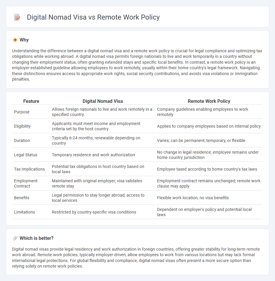 Digital Nomad Visa vs Remote Work Policy in Employment