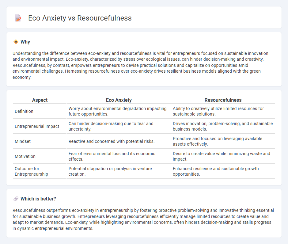 Eco Anxiety vs Resourcefulness in Entrepreneurship