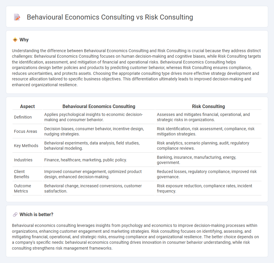 Behavioural Economics Consulting vs Risk Consulting in Consulting