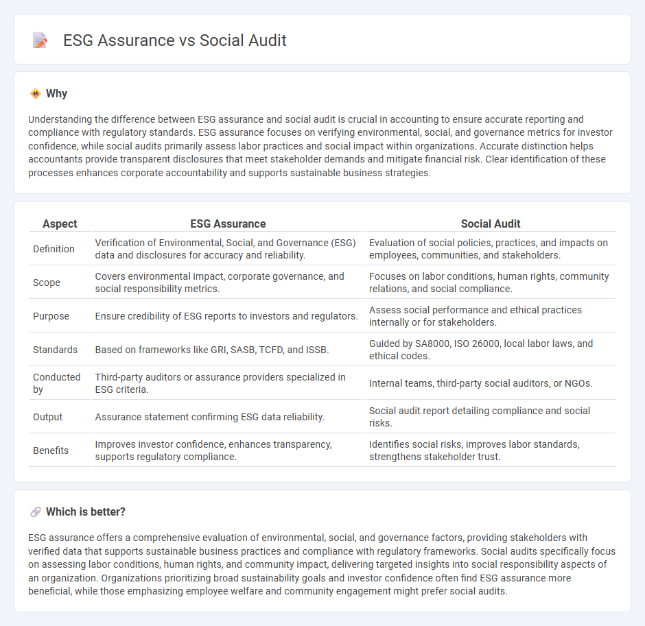 Esg Assurance vs Social Audit in Accounting