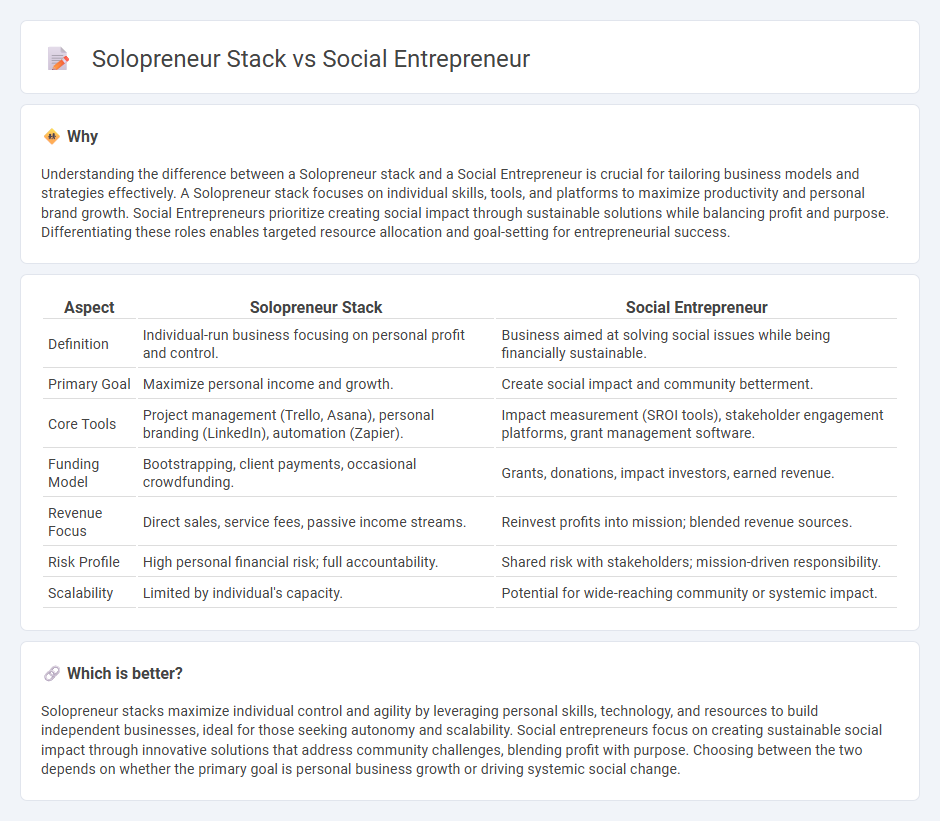Solopreneur Stack vs Social Entrepreneur in Entrepreneurship