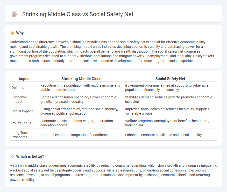 Shrinking Middle Class vs Social Safety Net in Economy