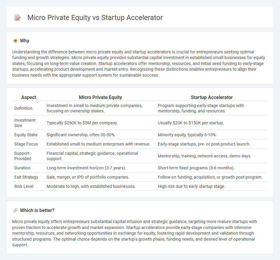 Micro Private Equity vs Startup Accelerator in Entrepreneurship