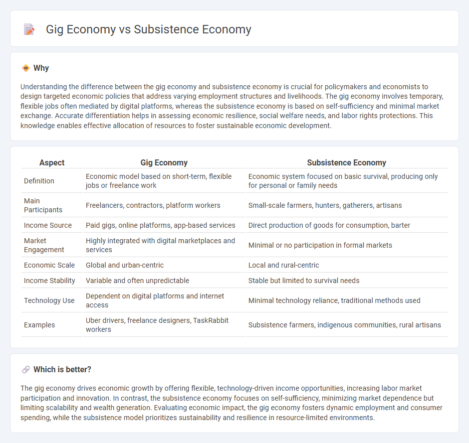 Gig Economy vs Subsistence Economy in Economy