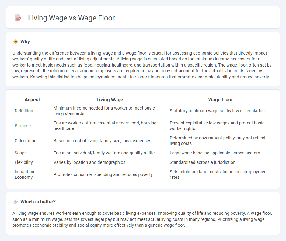 Living Wage vs Wage Floor in Economy