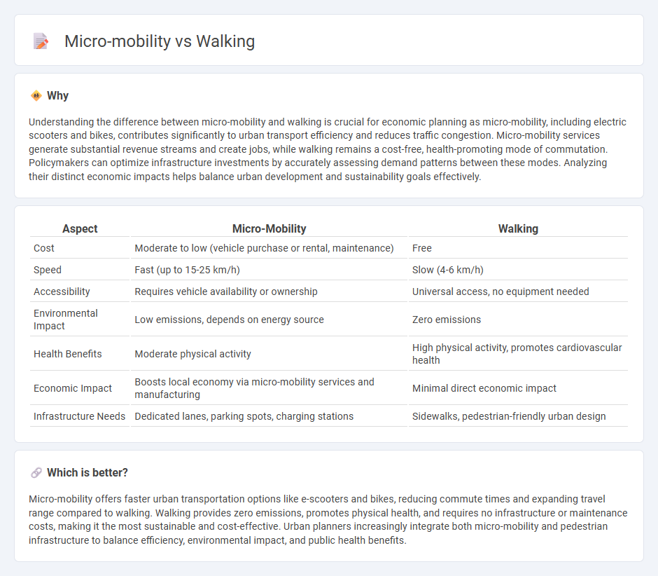 Micro-Mobility vs Walking in Economy