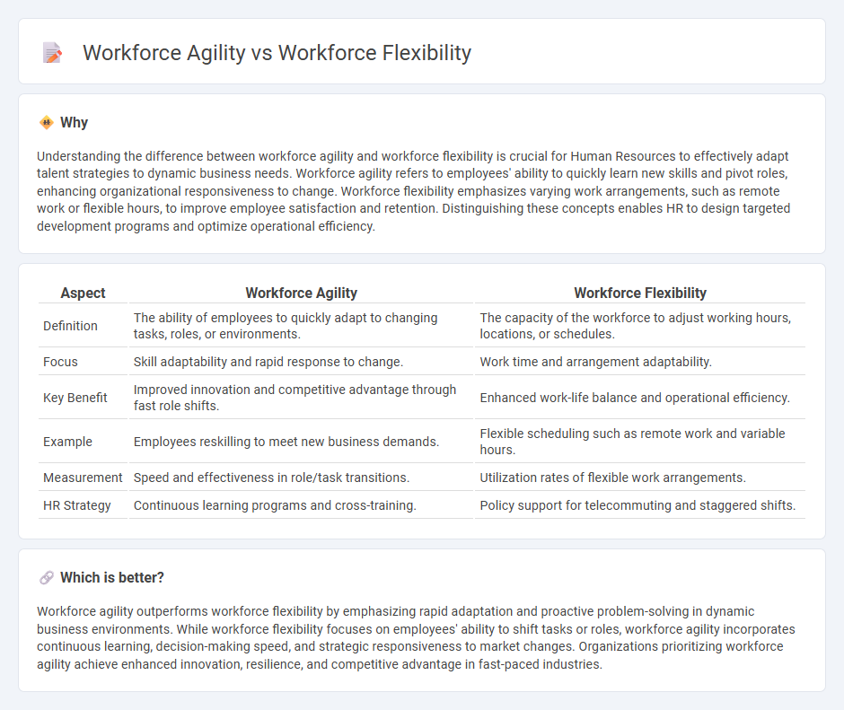 Workforce Agility vs Workforce Flexibility in Human Resources