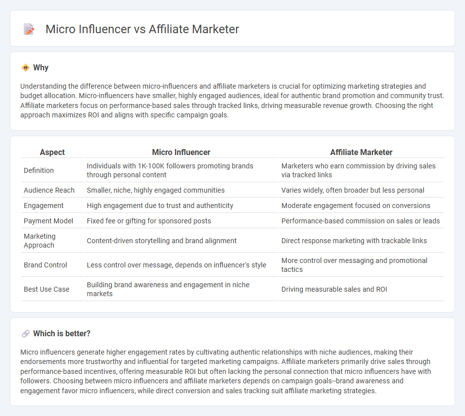 Micro Influencer vs Affiliate Marketer in Marketing