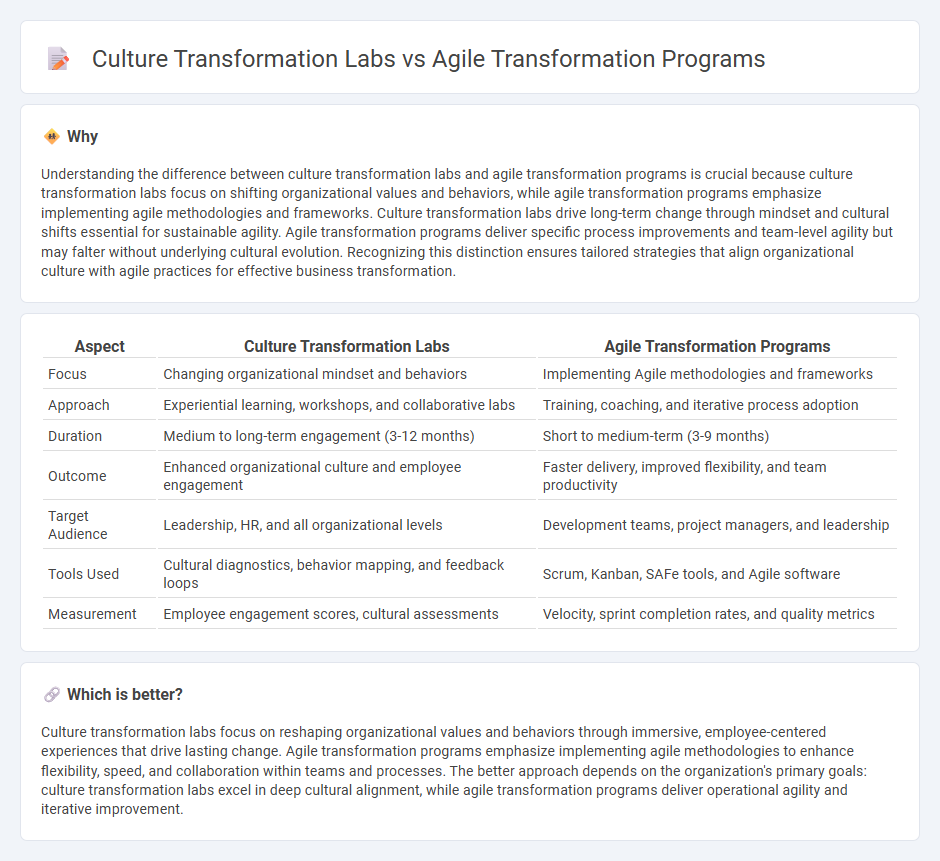 Culture Transformation Labs vs Agile Transformation Programs in Consulting