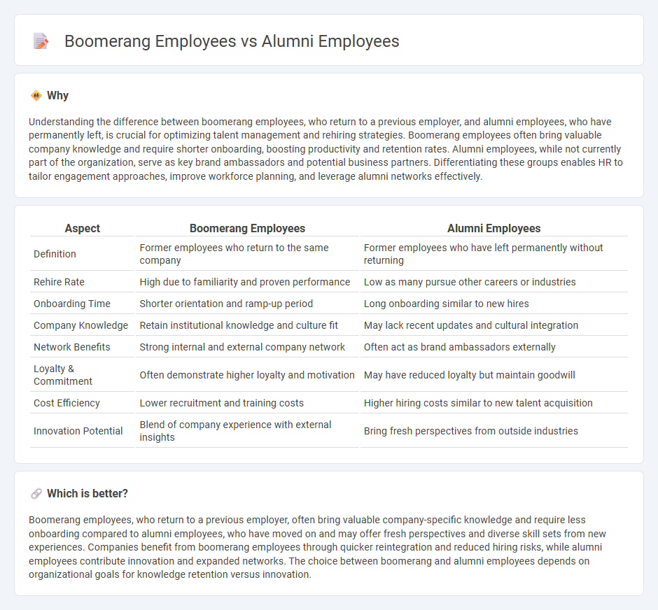 Boomerang Employees vs Alumni Employees in Employment