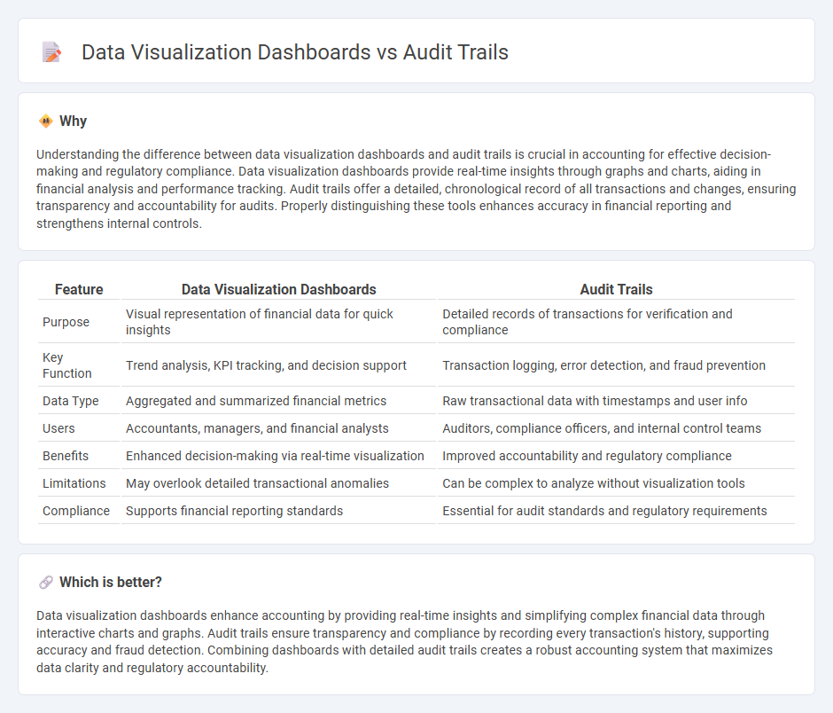 Data Visualization Dashboards vs Audit Trails in Accounting