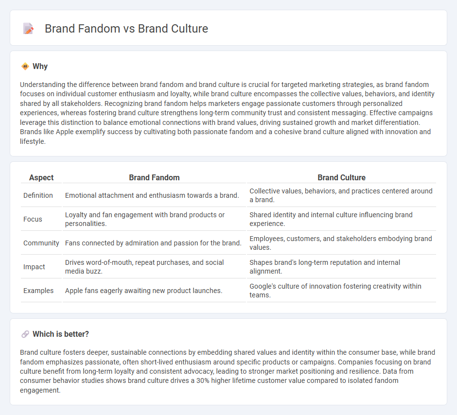 Brand Fandom vs Brand Culture in Marketing